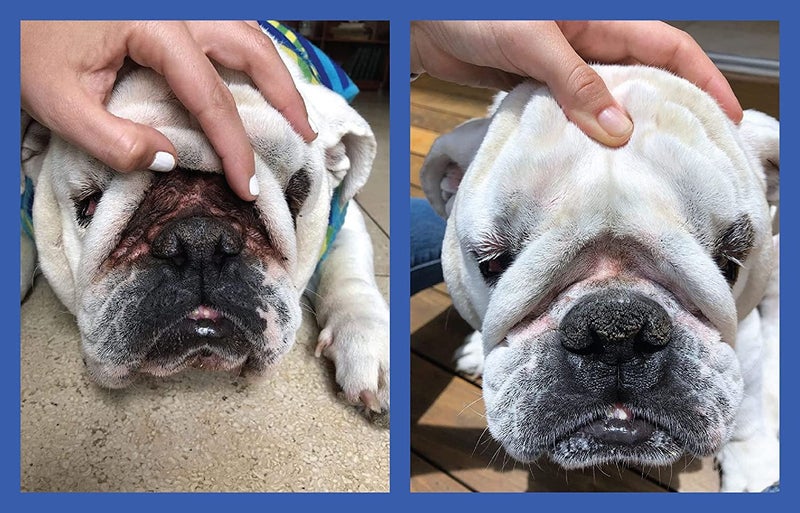 Squishface Flexible Silicone Dog Wrinkle Paste Applicator - Gentle Paste Application - Softer, Cleaner Way to Apply Wrinkle Paste & Tear Stain Paste to Your Dog's Face - for Every Product & Breed! - Image 4