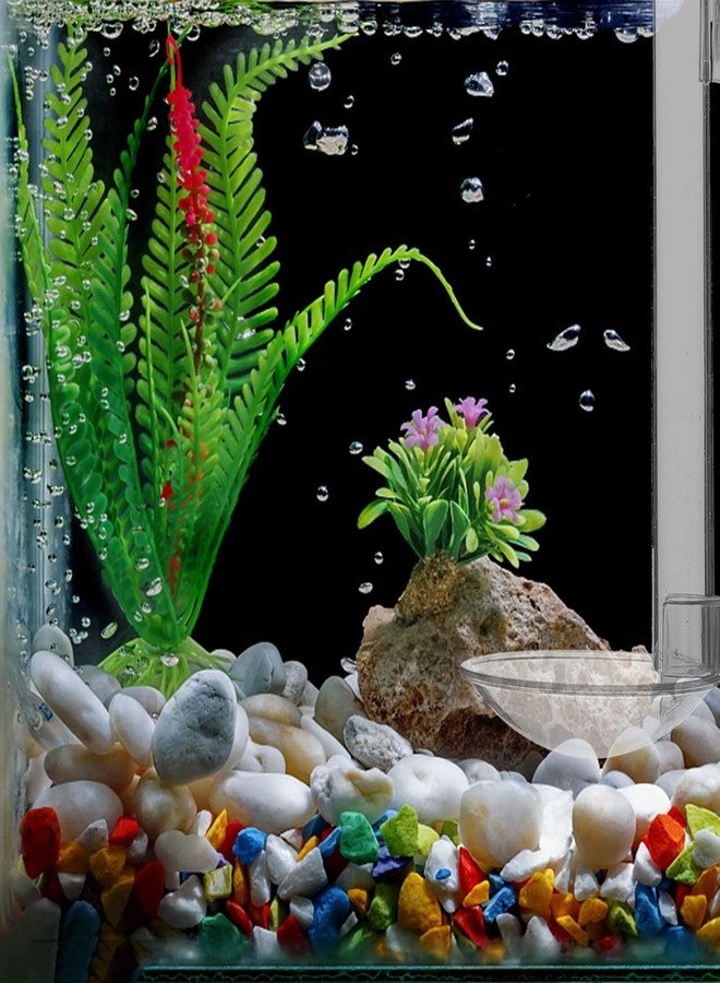 INOOMP Fish Tank Accessories Sturdy Acrylic Fish Feeder Tube Sinking Food for Vacation - Image 5