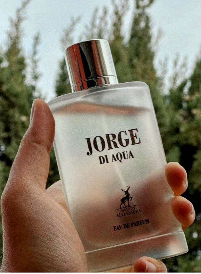 ميزون الهمبرا عطر جورجي دي بروفومو أكوا من ميزون الهمبرا للرجال - 100 مل ( مستوحي من اكوا دي جيو ) - Image 5