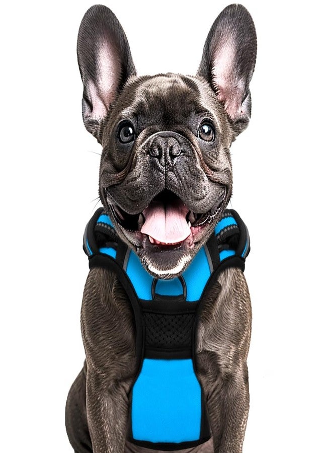 Buddy's Best Dog Harness, No-Pull Pet Harness with 2 Leash Clips, Adjustable Soft Padded Reflective Safety Pet Harness for No-Choke Pet Training (Blue, Large) - Image 1