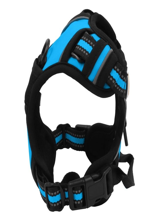 Buddy's Best Dog Harness, No-Pull Pet Harness with 2 Leash Clips, Adjustable Soft Padded Reflective Safety Pet Harness for No-Choke Pet Training (Blue, Large) - Image 5