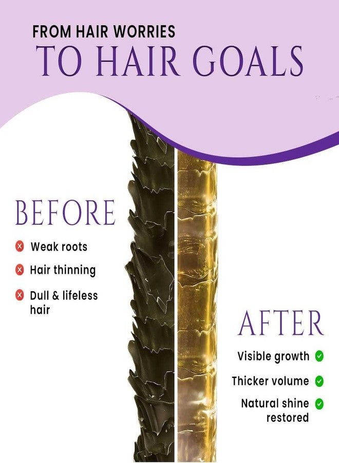 Nature Sure 150ml Rosemary Hair Oil for Healthy Hair with Bhringraj and Henna, Moisturises Dry Hair, Non Sticky & Non Greasy - Pack of 1 - Image 4