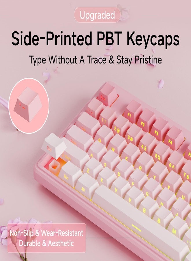 Eweadn لوحة مفاتيح الألعاب السلكية EWEADN V80 TKL RGB، تصميم مضغوط بنسبة 80% مع مفاتيح PBT، مفتاح غشاء هادئ للغاية، 26 مفتاح مضاد للتداخل، لوحة مفاتيح مريحة لألعاب الكمبيوتر المحمول - وردي متدرج - Image 4