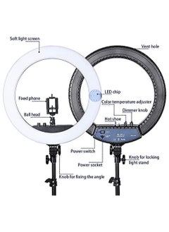 21 inch Professional Big LED Selfie Ring Light With 3 Mount Phone Holders For Reels Photo Shoot Live Stream Makeup Videos - pzsku/Z0C895217CAB545650F8FZ/45/_/1697562057/ccdb8708-1bcb-4277-911e-ce7ca1a6dfb5