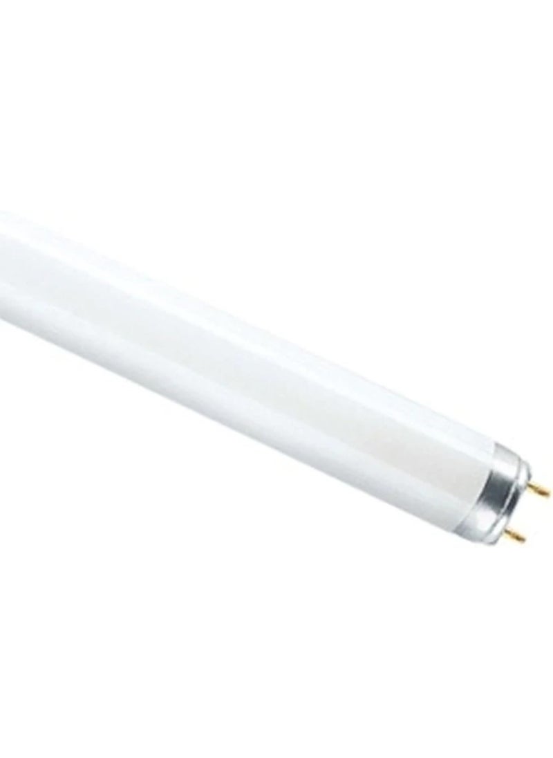 Osram - Osram/ Ledvance Lumilux Fluorescent Tube Light T8 Basic L 18 Watts 3000k Warm white 0.6 m- Pack of 5 - Image 1