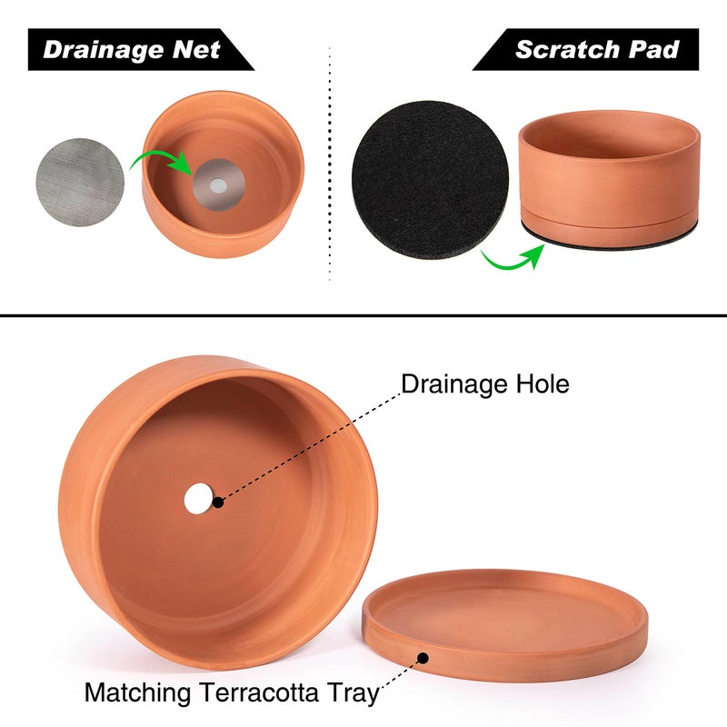 D'vine Dev 8 Inch Succulent Terracotta Shallow Pot with Drainage Hole and Saucer, Round Cylinder Planter Pot for Plant Flower, 40-Y-A-0 - Image 4