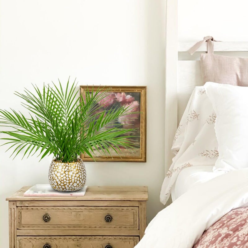 Briful Fake Plants 15'' Faux Palm Plant in Gold-White Pot Realistic Artificial Plants Indoor for Home Farmhouse Centrepieces Wedding Decorations - Image 5