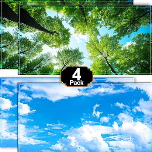 Aheroi 4-Pack Fluorescent Magnetic Light Covers - Mix Light Filters for Classroom Ceiling Lights (Forest & Blue Sky) - Image 1