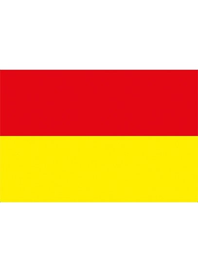 Flag Online 70X105CM Raschel Lifeguard Flag - pzsku/Z0C8FB3852E9514D3CD51Z/45/_/1725725031/13b27d9c-934c-46da-900a-78ede87c1cdd