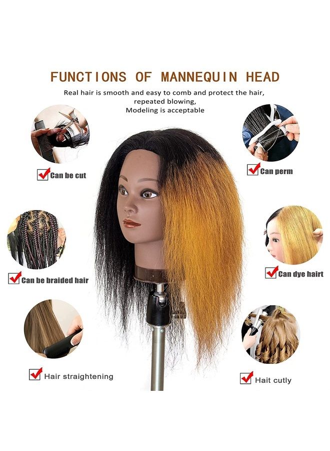 MILLYSHINE Mannequin Head With Hair,100% Real Human Hair 16“, Braiding Styling Doll Head,Beauty School Manikin Head,Curling Dyeing Hairdresser Practice Training Head - Image 2