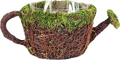 SuperMoss (55260 7" Deco Watering Can Planter Basket, Medium - Image 1