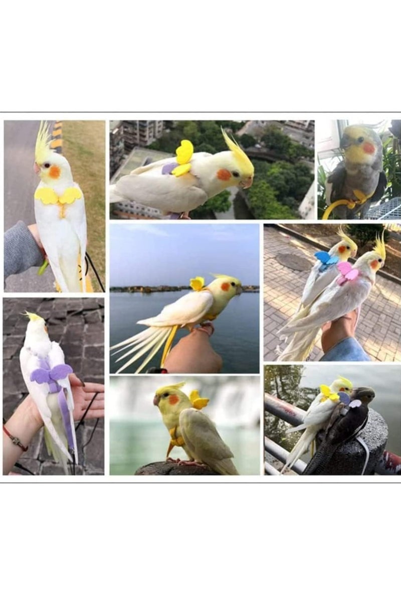 رماد تدريب الطيور، الببغاء القابل للتعديل حبل الحزام الطائر (بالإنجليزية: Flying Strap Rope) رصاص الجرار الطائر العالمي أداة طيران متينة لعبة الطيور، الببغاء، الكوكاتيل، الببغاء، لوري، 1 PCs، الأرجواني - Image 3