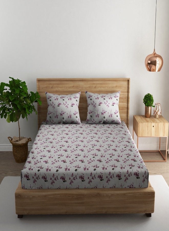 RISHAHOME 3-Piece 180 TC Printed Cotton Bedsheet Set Queen Size – Premium Collection with 2 pillow case - Image 1