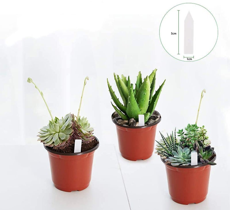 JERIA 100-Pack 4 Inch Plastic Plant Nursery Pots Come with 100 Pcs Plant Labels, Seedling Flower Plant Container and Seed Starting Pots - Image 3