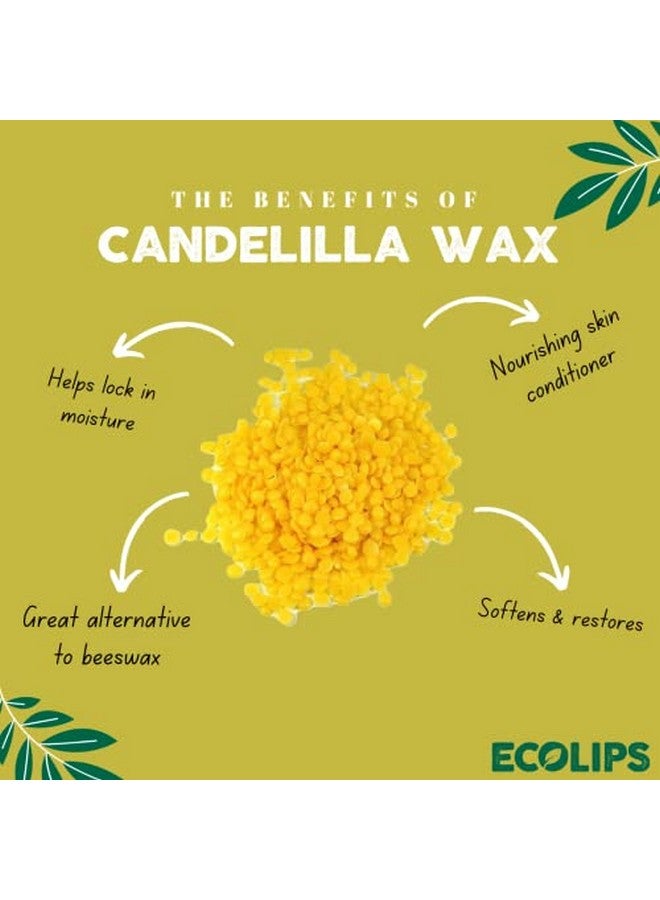 Eco Lips Vegan Lip Balm Sweet Mint By Eco Lips Flavor 3 Pack Natural Bee Free With Candelilla Wax Organic Cocoa Butter & Coconut Oil Lip Care. 100% Plasticfree Plant Pod Packaging Made In Usa - Image 4