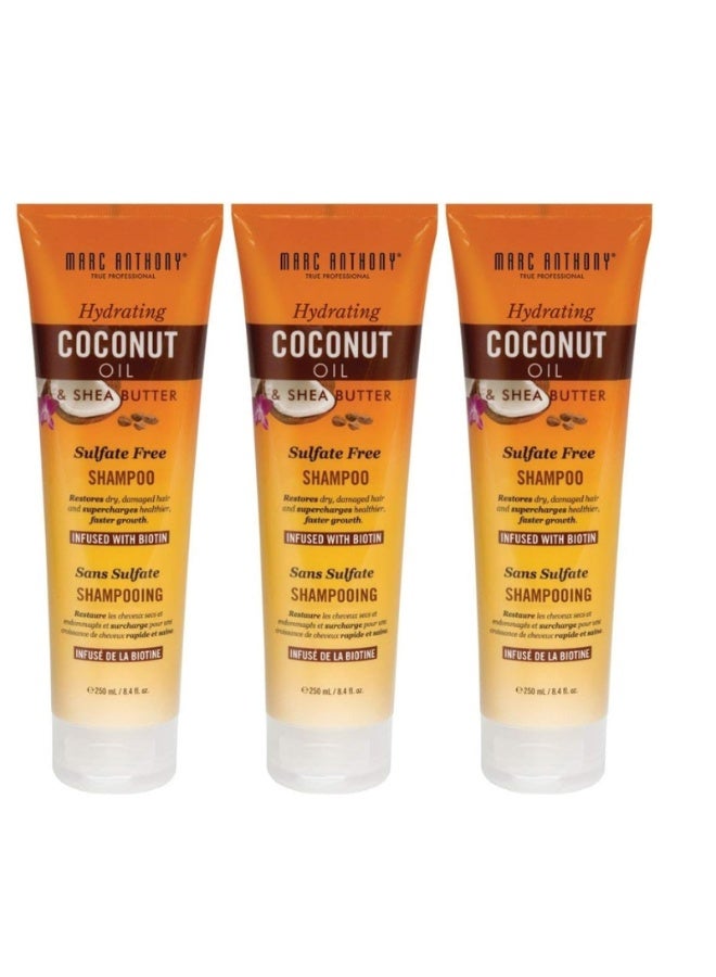 مارك أنتوني شامبو زيت جوز الهند أنبوب 8.4 أونصة (خالي من الكبريتات) (248 مل) (عبوة من 3 قطع)