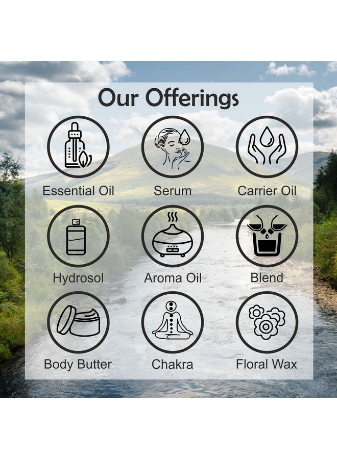 Deve Herbes Lavender Essential Oil (Lavandula angustifolia) Pre Diluted Ready to Use Roll-on Blend for Aromatherapy and Topical Skin Application for Kids and Adults 10ml - Image 5