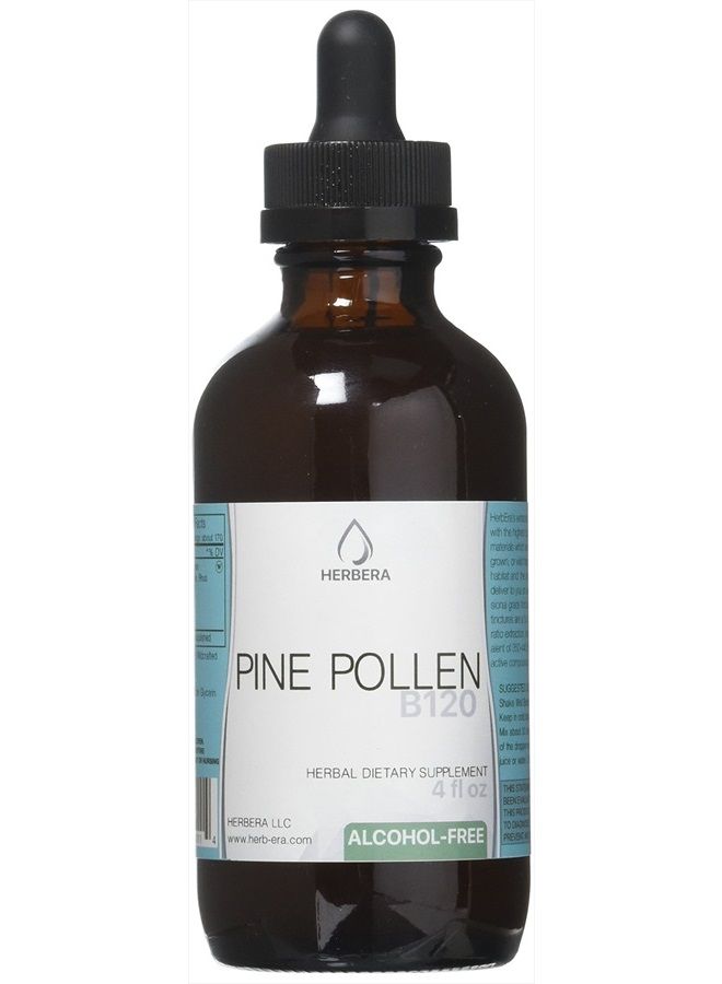 HerbEra Pine Pollen B120 Alcohol-Free Herbal Extract Tincture, Concentrated Liquid Drops Natural (Song Hua Fen, Scots Pine, Pinus Sylvestris) 4 fl oz - Image 1