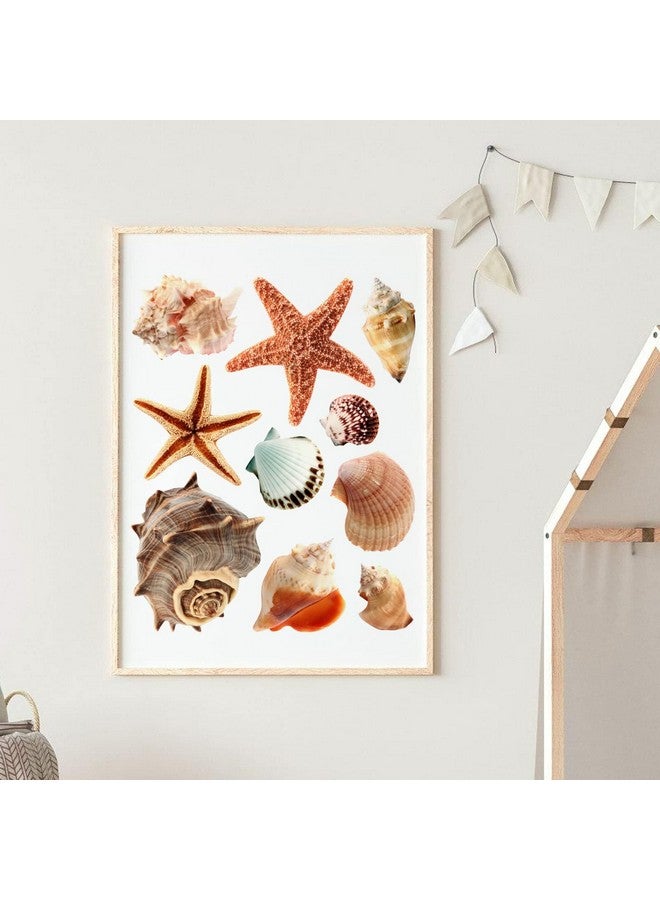 iinuu Shell Decals for Bathroom Laundry,Under The Sea Wall Decals(1) - Image 3