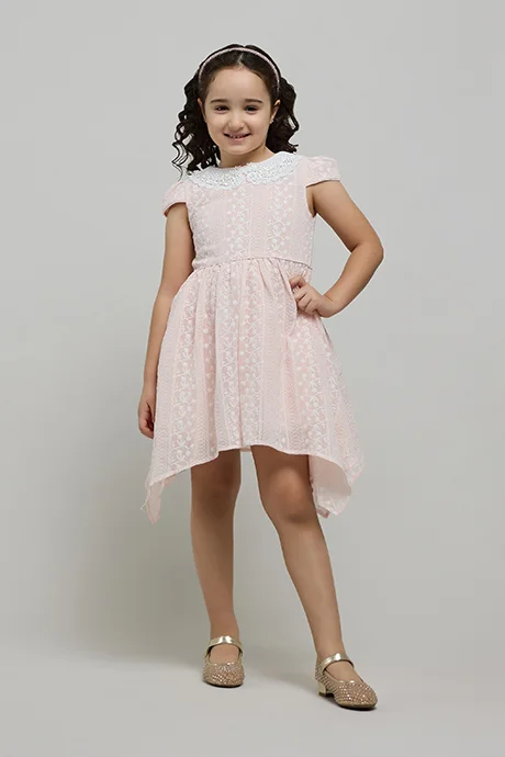 R&B Embroidered Dress with Peter Pan Collar and Cap Sleeves