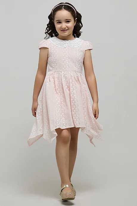 R&B Embroidered Dress with Peter Pan Collar and Cap Sleeves