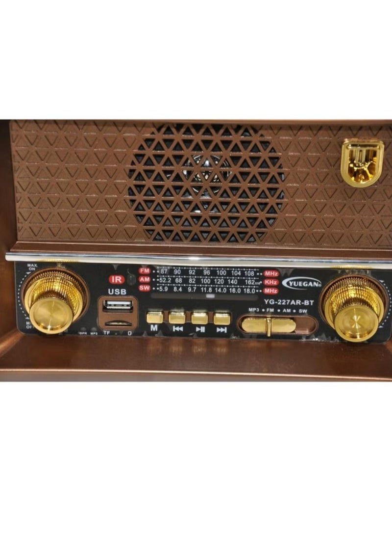 Denx Rechargeable HI-FI Radio with Remote Control, Large Capacity Battery, Portable, Retro Style FM Radio, Support Bluetooth, SD Card Slot, USB and AUX Port,DX2440  - Image 2