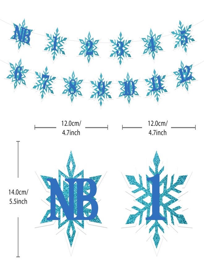 Aukolass Snowflake 1st Birthday Photo Banner for Boy from Newborn to 12 Months, Winter Wonderland Monthly Milestones Bunting Garland for Christmas First Birthday Party Decoration (Blue) - Image 2