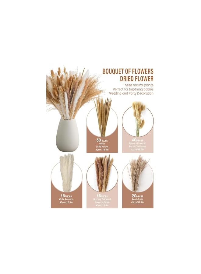 The Bros 120PCS Dried Pampas Grass Decor Bouquet, Phragmites Dried Flowers, Floral Arrangements for Boho Home Wedding Party Decorations - Image 2