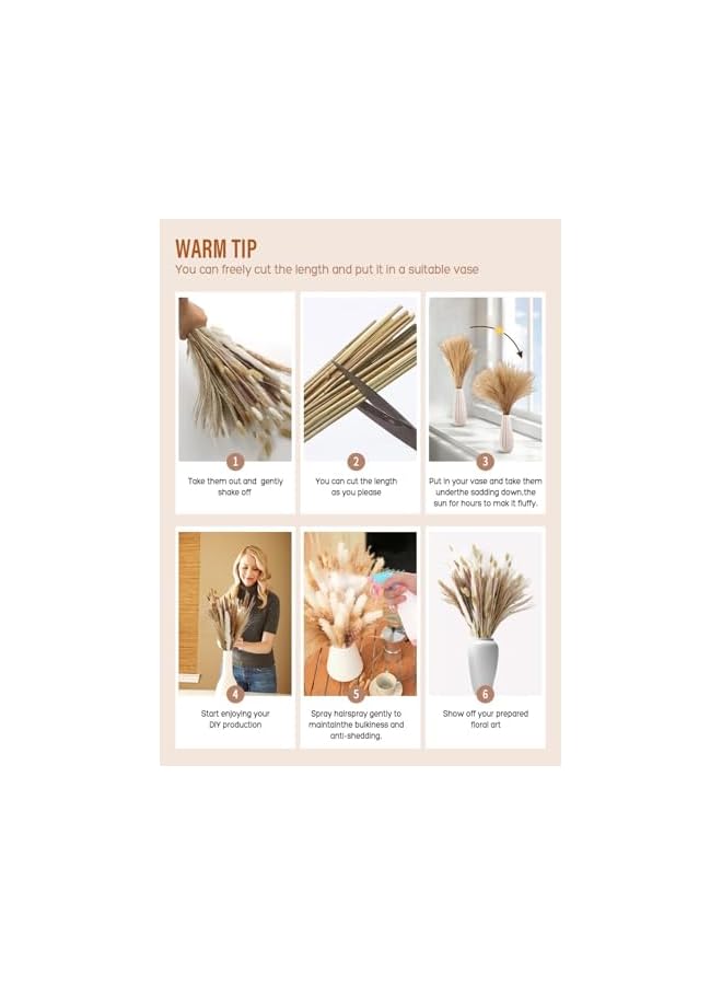 The Bros 120PCS Dried Pampas Grass Decor Bouquet, Phragmites Dried Flowers, Floral Arrangements for Boho Home Wedding Party Decorations - Image 4