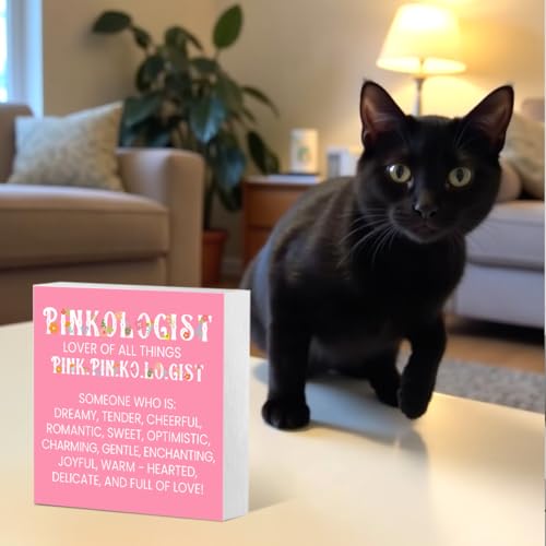 Woght Pink Gifts for Women Men, Birthday Gifts for Mom Sister Friends, Pink Acrylic Decor for Bedroom Office Home Signs Decorations 4 x 4 Inches - Image 4