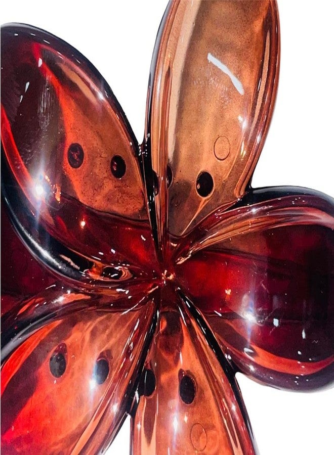 Bakefy� 1 piece Hair Accessories Korean Clutchers For Hair Claw Clips Butterfly Clips Fancy Hair Clips For Women Cute Clips Hair Clip Set Stylish Hair Clips Black And Brown Colour - Image 4