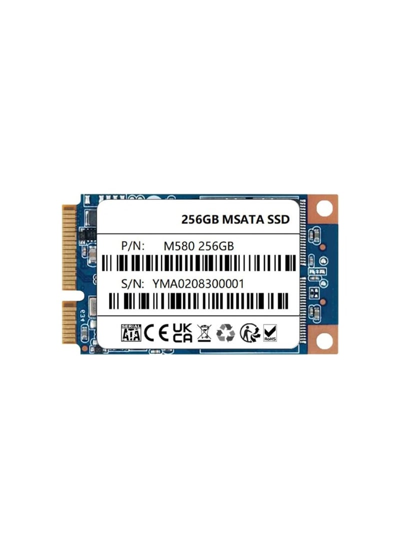 ماركة غير محددة قرص صلب داخلي SSD MSATA III بسعة 256 جيجابايت – تخزين سريع وموثوق لأجهزتك 