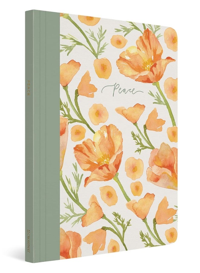 Crossway ESV Prayer Journal: 30 Days on Peace (Paperback) - Image 1