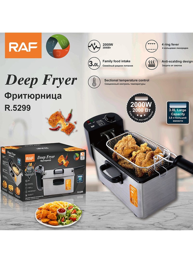 RAF Small Electric Deep Fryer for Home Use | Commercial Temperature-Controlled Fryer for Fries, Donuts, and Fried Snacks - Image 1