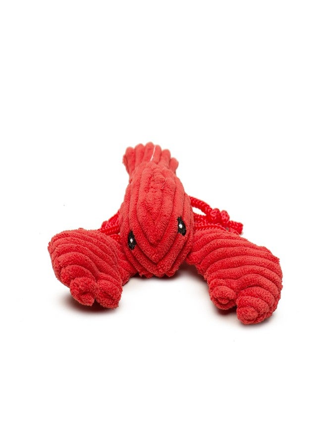 HuggleHounds ألعاب الكلاب القطيفة HuggleHounds Wee Huggles - ألعاب حيوانات محشوة للكلاب، دمى جرو قطيفة تصدر صوتاً للكلاب الصغيرة والمتوسطة الحجم، متينة وتفاعلية لإبقائها مشغولة - Raw Bar Wee Huggles (3 قطع) - Image 2