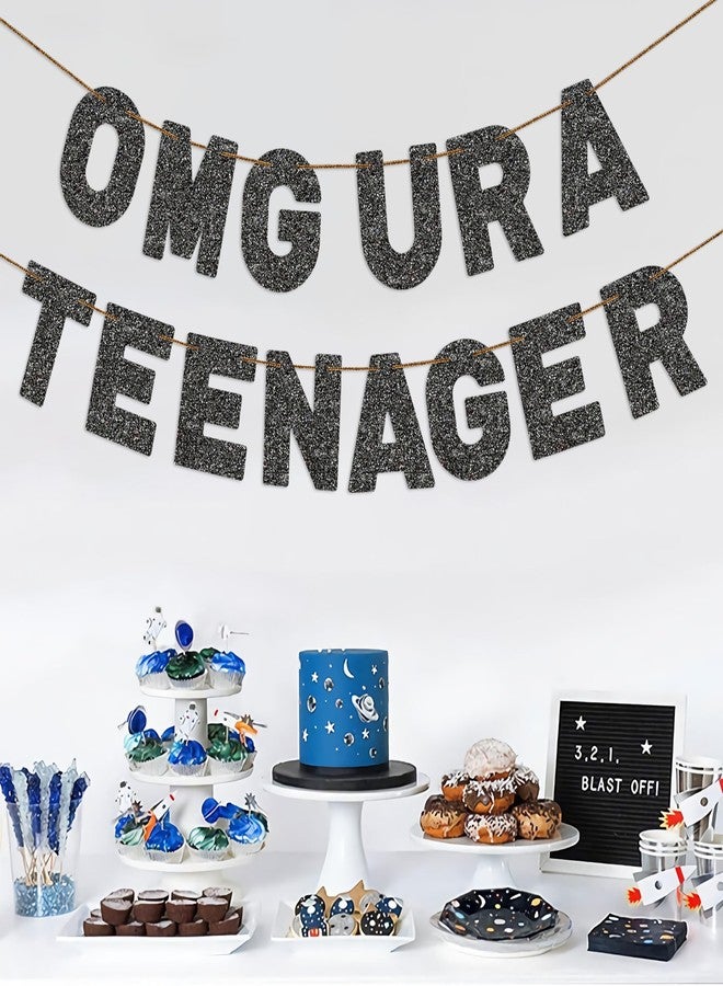 FQDGTFA Teenager 13th Birthday Banner OMG UR A TEENAGER Pre-Strung Black Glitter Banner, Mean Party Decorations,13th Birthday Party Decorations - Image 2