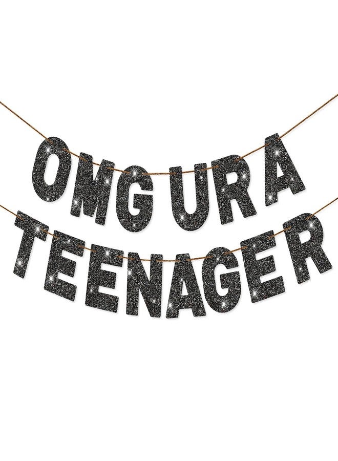 FQDGTFA Teenager 13th Birthday Banner OMG UR A TEENAGER Pre-Strung Black Glitter Banner, Mean Party Decorations,13th Birthday Party Decorations - Image 1