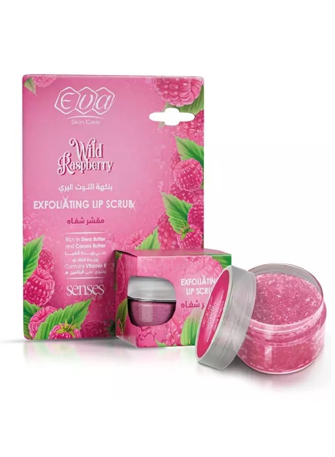 إيفا سكين كير مقشر الشفاه بالتوت البري 20 جرام