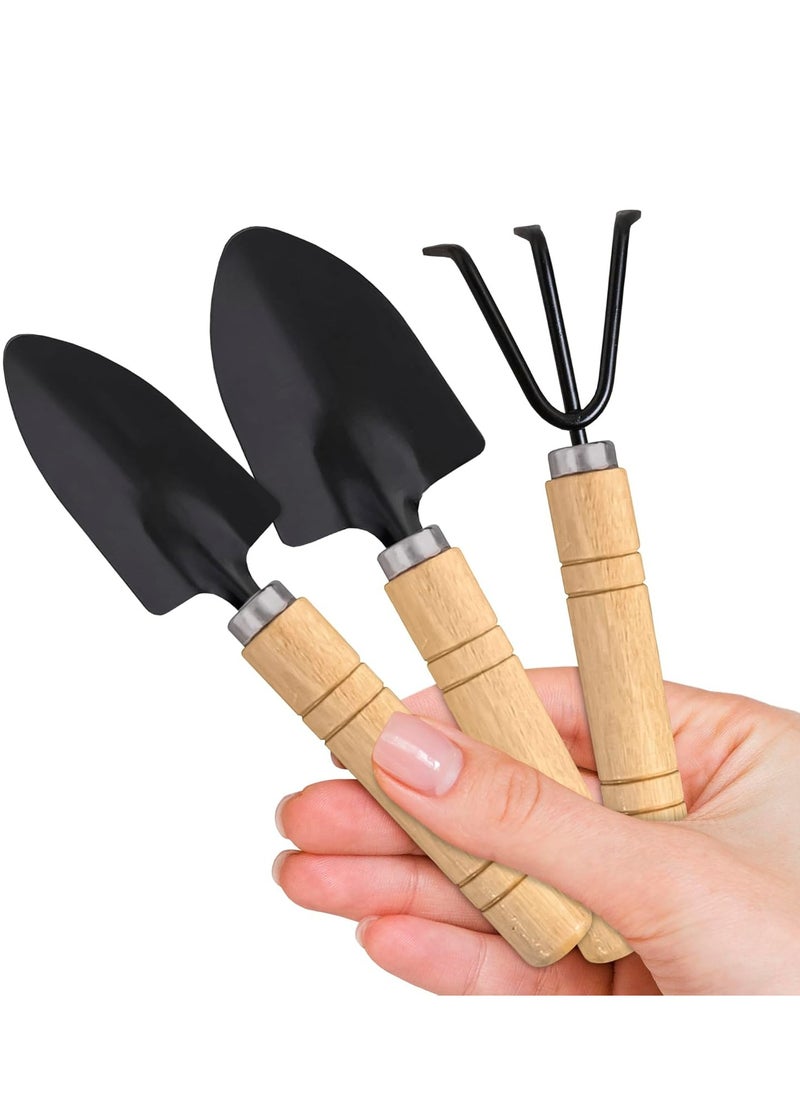 Oasisgalore 3-Piece Gardening Tool Set – Hand Shovel Trowel, Small Rake for Indoor and Outdoor Plants.  - Image 1