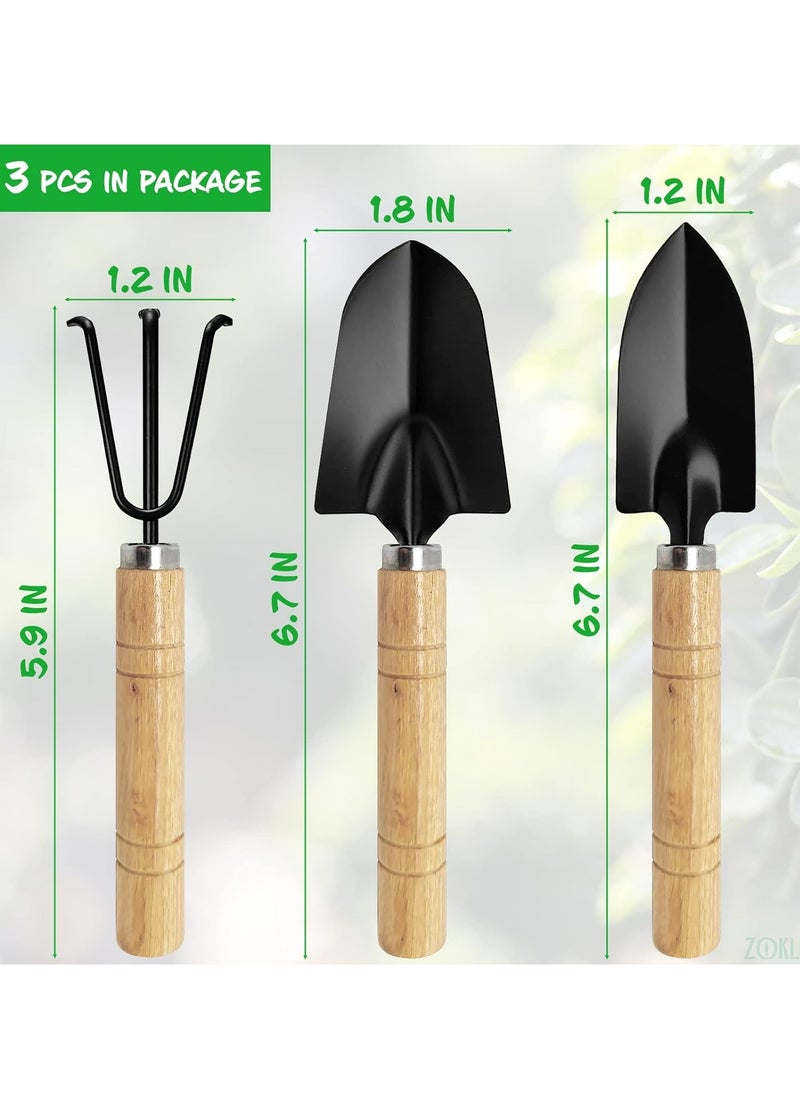 Oasisgalore 3-Piece Gardening Tool Set – Hand Shovel Trowel, Small Rake for Indoor and Outdoor Plants.  - Image 2