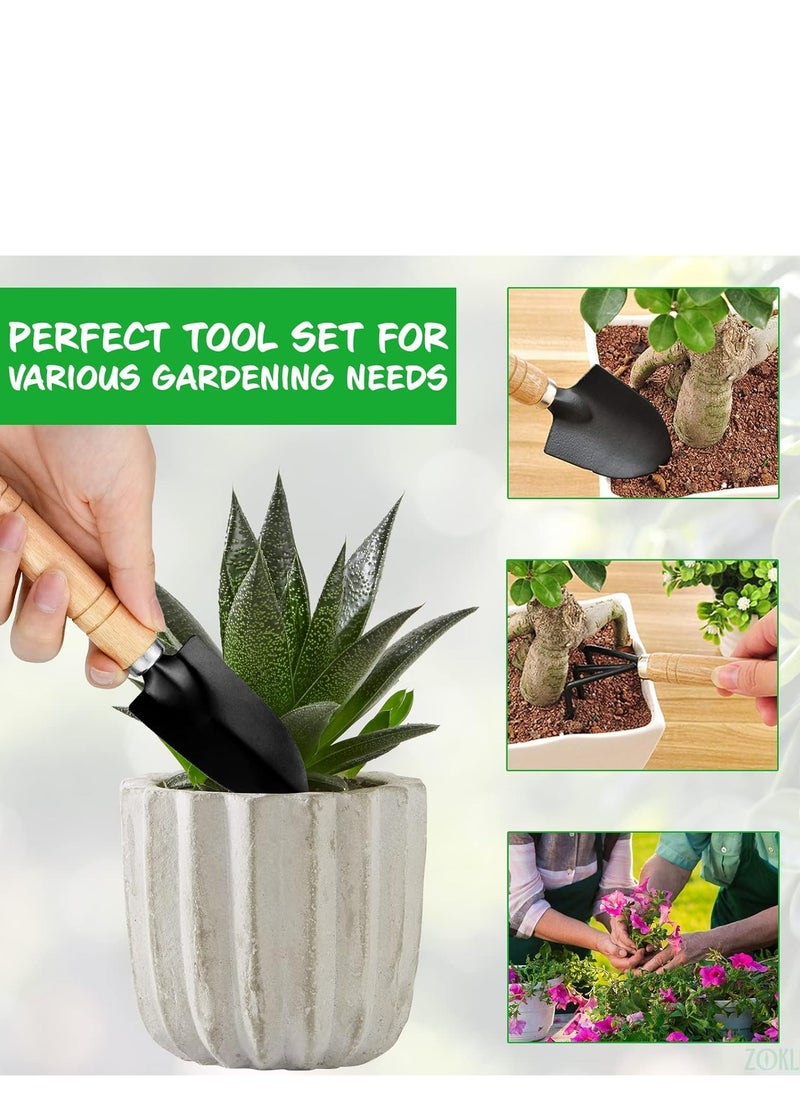 Oasisgalore 3-Piece Gardening Tool Set – Hand Shovel Trowel, Small Rake for Indoor and Outdoor Plants.  - Image 4