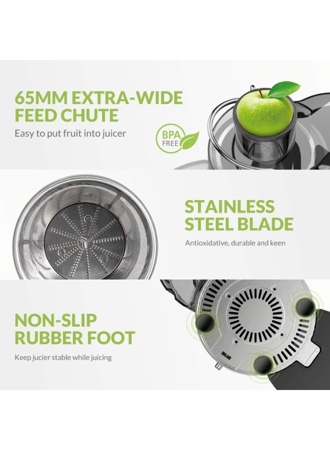 JOGAMS Electric Fruit Juicer 800W 600ml Stainless Steel Fruit and Vegetable Blender for Hard and Soft Fruits Wide Feeding Opening Safety System Easy to Disassemble and Clean Perfect for Fresh Juices - Image 4