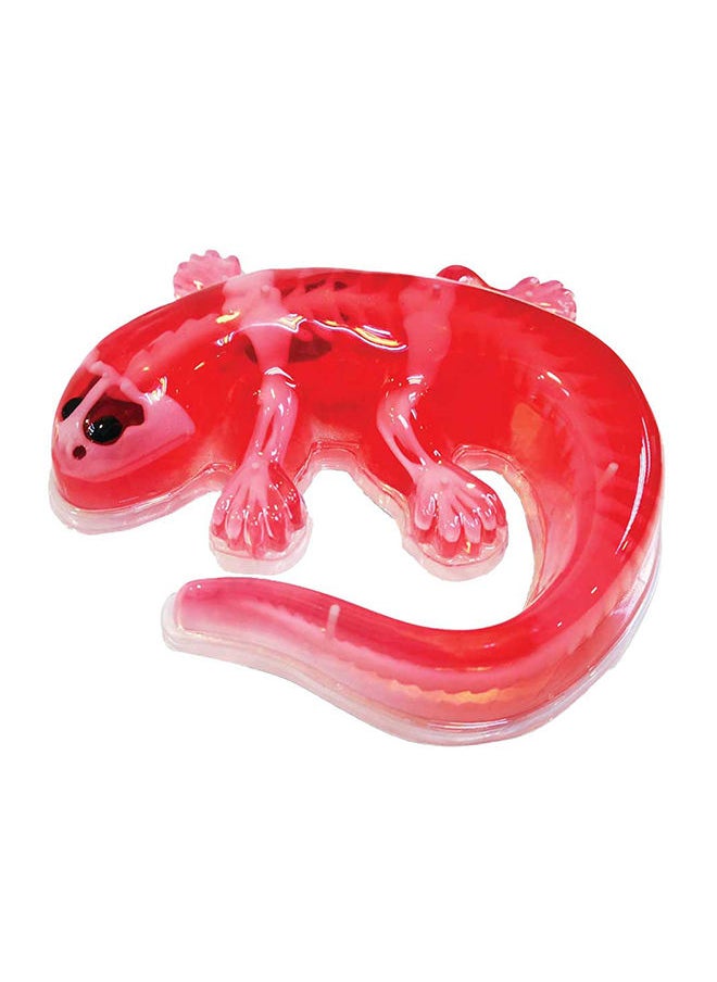 Slimy - Dissect It Simulated Synthetic Lab Dissection Kit Salamander - Image 1
