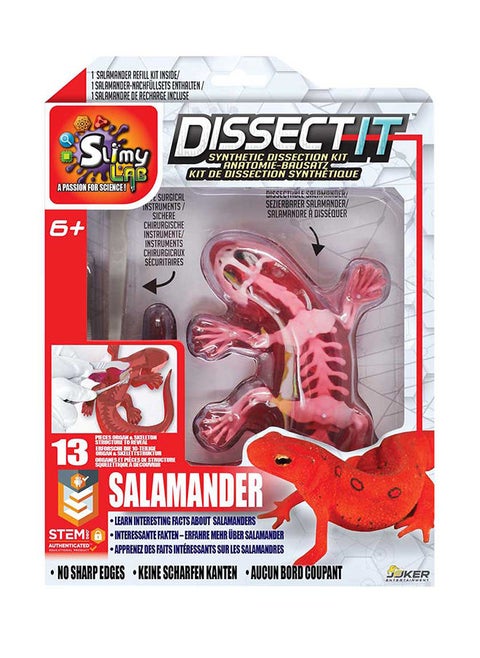 Dissect It Simulated Synthetic Lab Dissection Kit Salamander