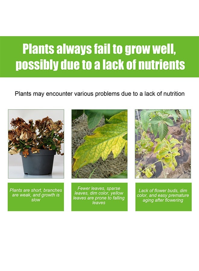 MOONSPRY Nutrient Solution,Plant Nutrient Solution, Natural Liquid Fertilizer And Plant, Vegetable Plant Fertilisers, Nutrient Solution, Plant Growth Enhancer For all leaf plants Soils, Plants, Hydroponic And Garden Care 100ml - Image 2