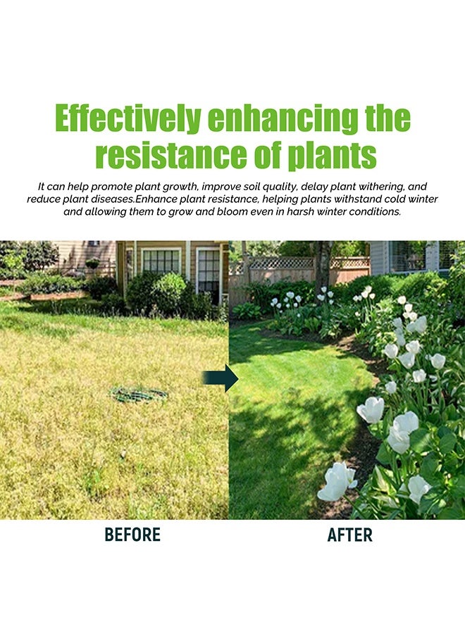 MOONSPRY Nutrient Solution,Plant Nutrient Solution, Natural Liquid Fertilizer And Plant, Vegetable Plant Fertilisers, Nutrient Solution, Plant Growth Enhancer For all leaf plants Soils, Plants, Hydroponic And Garden Care 100ml - Image 4