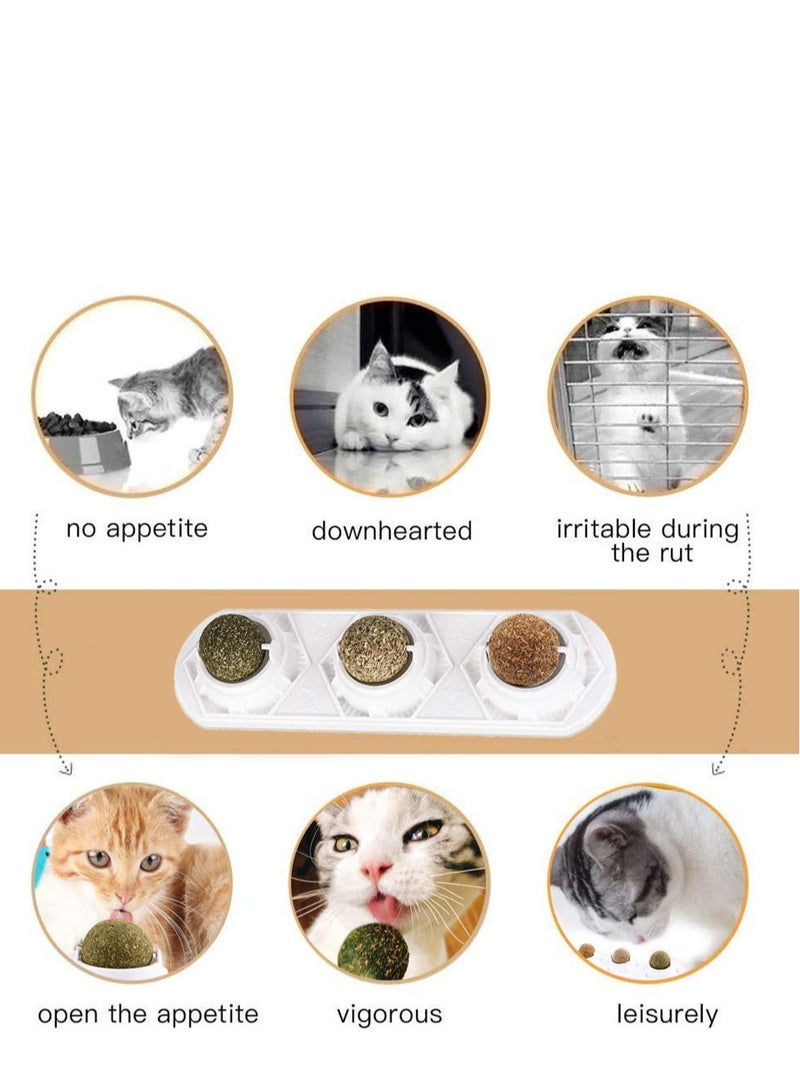 Catnip Squash Ball Toy, 3 in 1 Rotatable Cat Snacks Edible Ball with Natural Healthy Catnip Silver Vine Cat Spit Hair Ball Chewing Clean Teeth Toys - Image 3