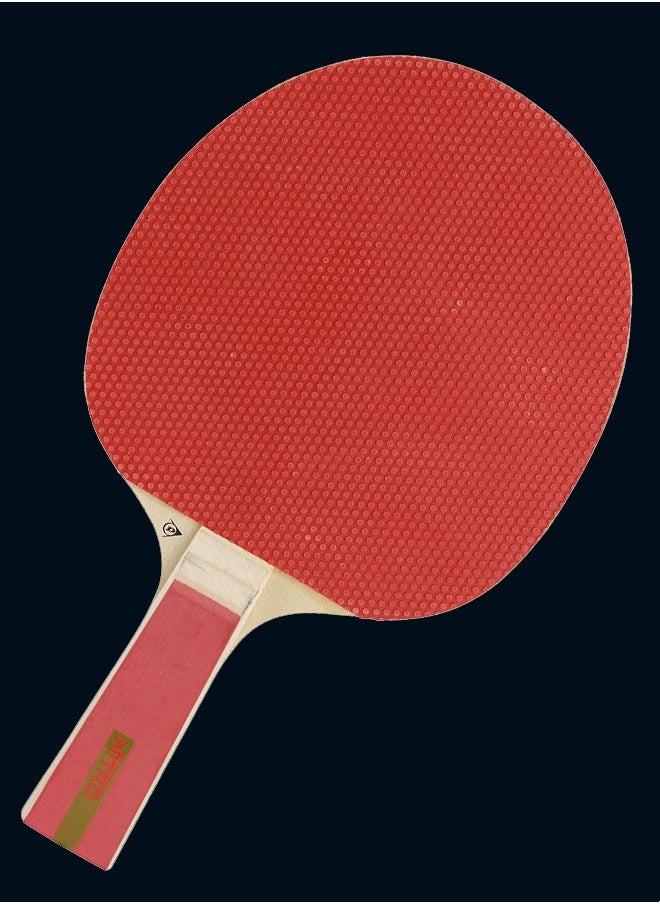 Dunlop Nitro Table Tennis Racket - pzsku/Z0CABF4CCAA4B51BF21A8Z/45/_/1722505116/b00ee187-a29c-4fc5-afd0-a550d6079ef2