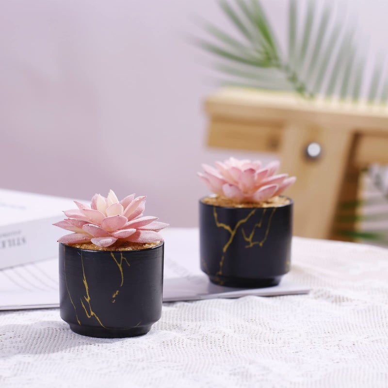 ZENIDA Succulent Artificial Plants Cute Fake Succulents in 2 Black Ceramic Pots Small Fake Plants for Office Table Desk Bathroom  Bedroom Aesthetic Room Shelves Decor Desk Decorations for Women Office - Image 2