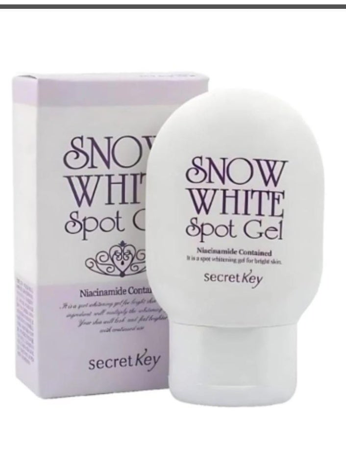 Secret Key Snow White Spot Gel 65 gram